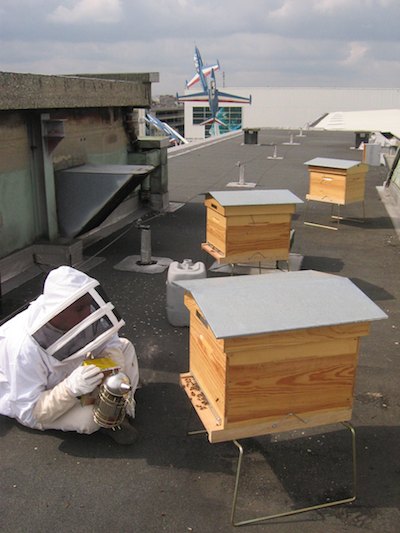 Les ruchers des terrasses du musée de l'air
