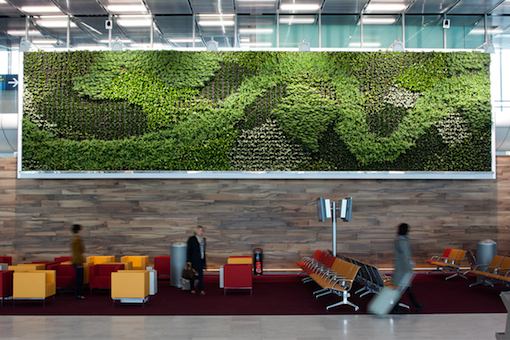 Des murs végétaux en décoration du S4