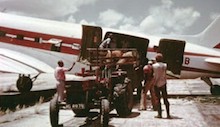 2. Chargement des boeufs à l'intérieur du DC3