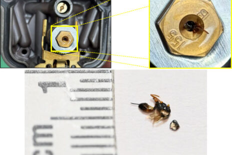 Extrait du rapport d'incident montrant le gicleur du Rotax et l'insecte