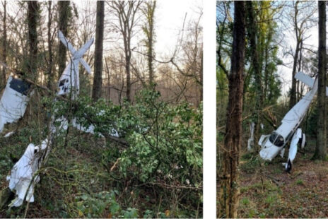 Photos du F-GFIE accidenté au pied des arbres
